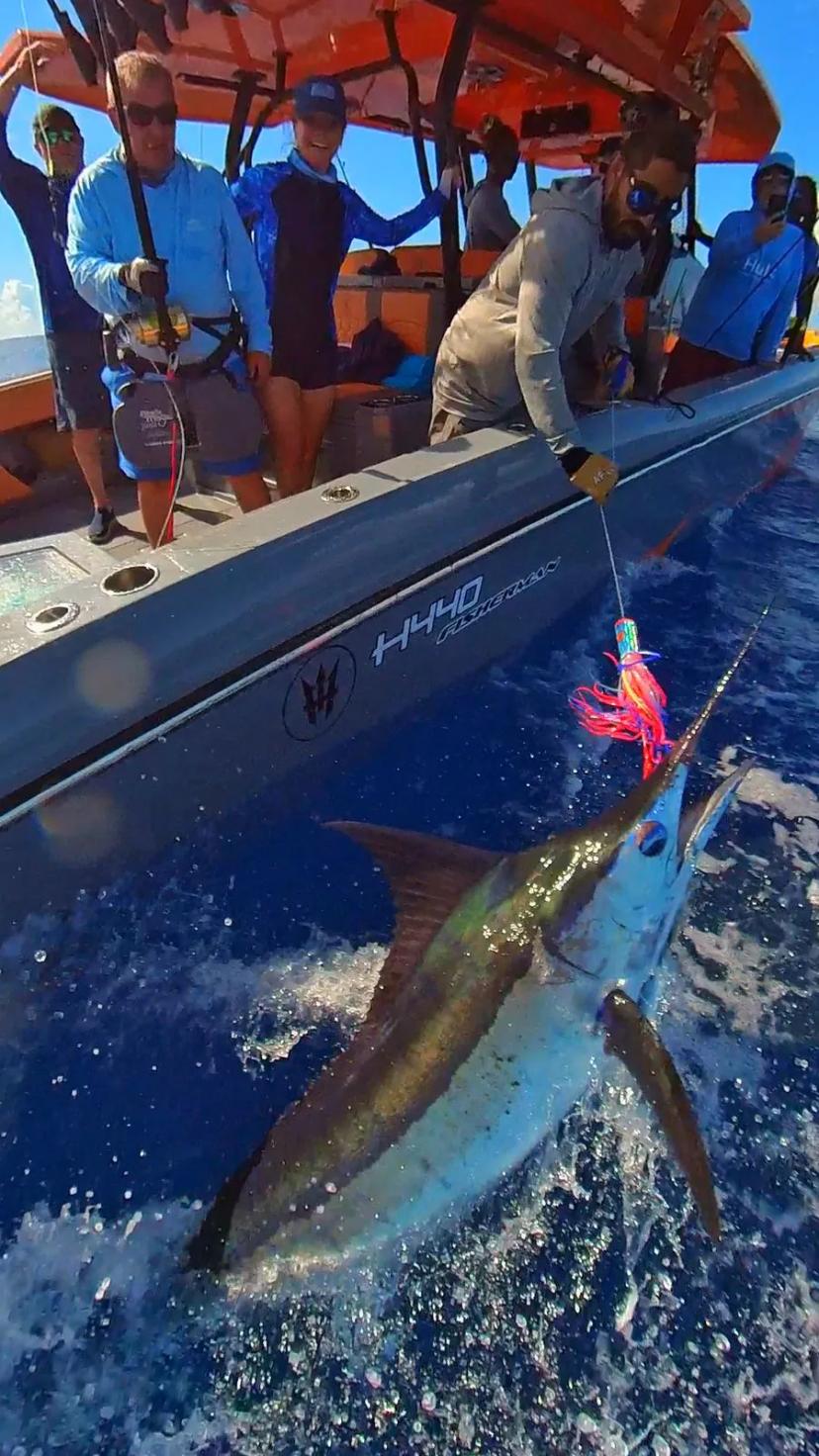 BoomBastic Chapters Seychelles - FISHING