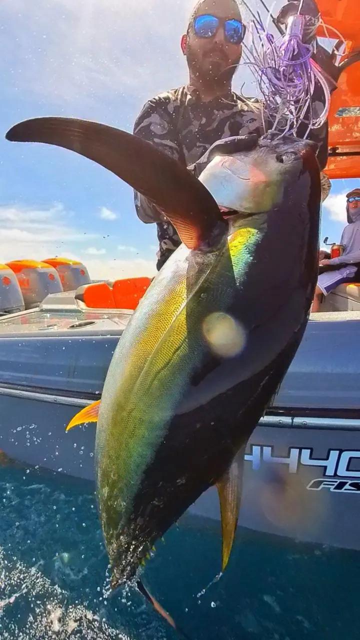 BoomBastic Chapters Seychelles - Une journée de pêche au gros et d'aventures avec les thons aux Seychelles