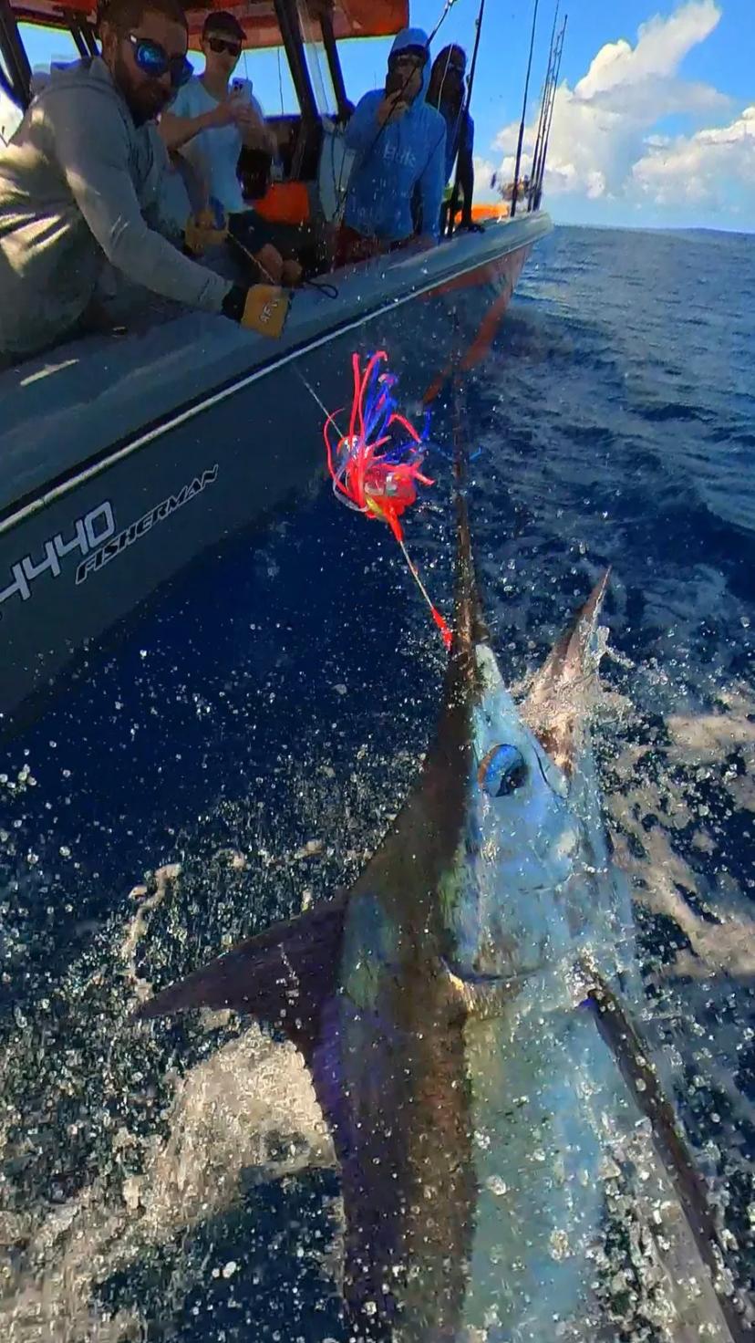 BoomBastic Chapters Seychelles - FISHING