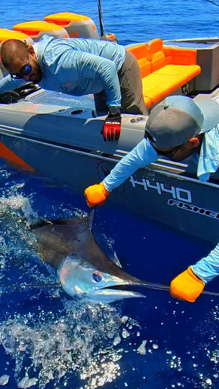 BoomBastic Chapters Seychelles - FISHING