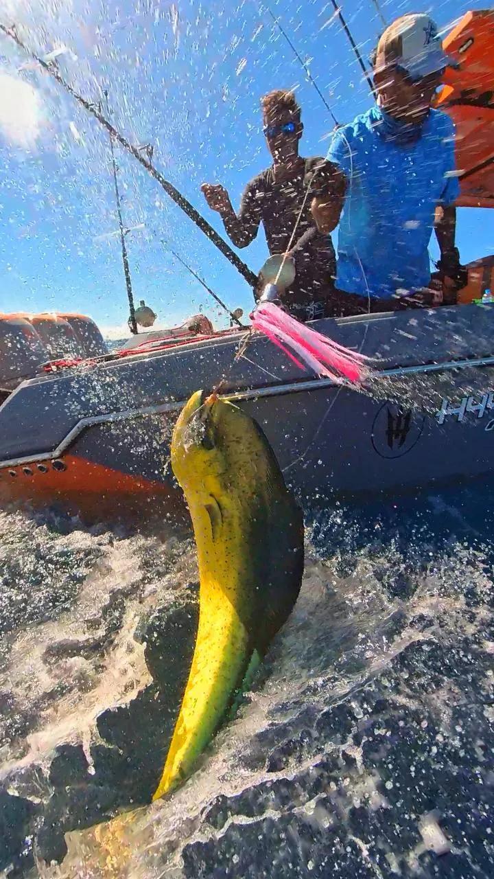 BoomBastic Chapters Seychelles - A Great Day: Boombastic Fishing Season in Seychelles is Open!