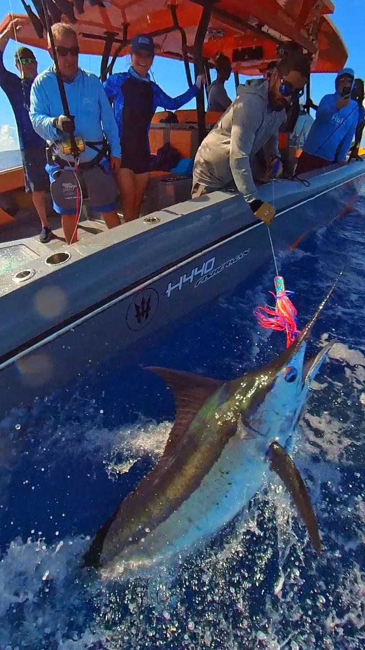 BoomBastic Chapters Seychelles - Incredible Fishing Achievements with Guests from the UK and Bahrain