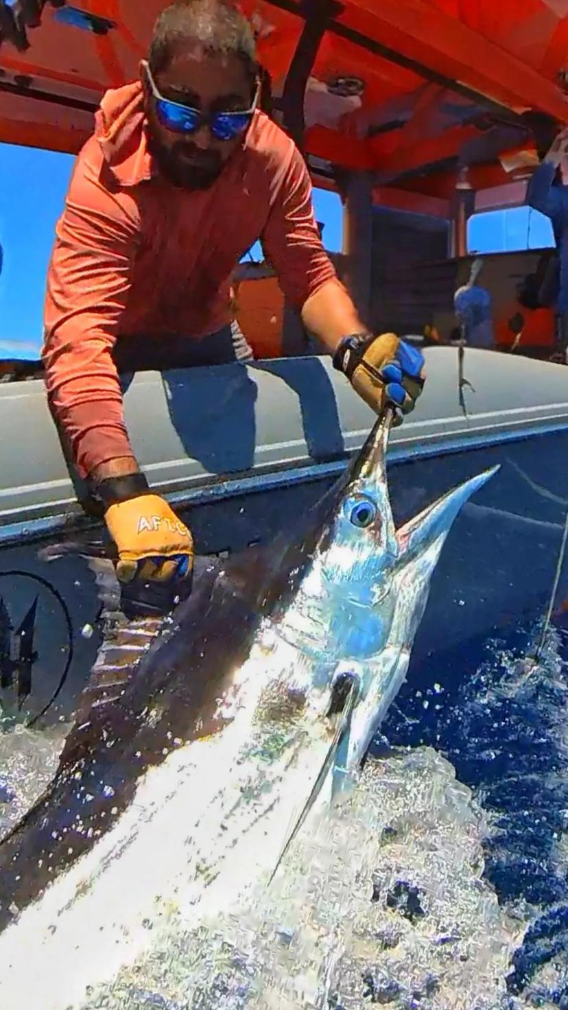 BoomBastic Chapters Seychelles - FISHING