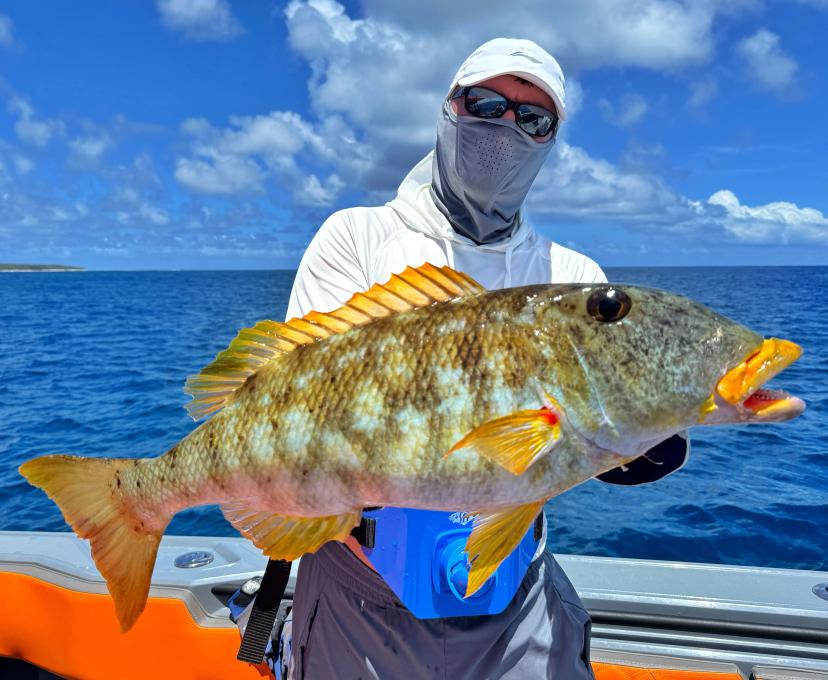 BoomBastic Chapters Seychelles - Aventures de Pêche au-Delà de l'Horizon