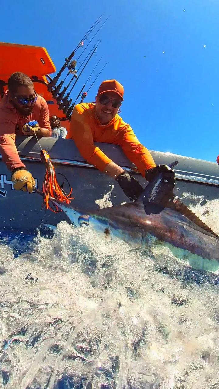 BoomBastic Chapters Seychelles - Marlin Special: Marlin Fishing Season