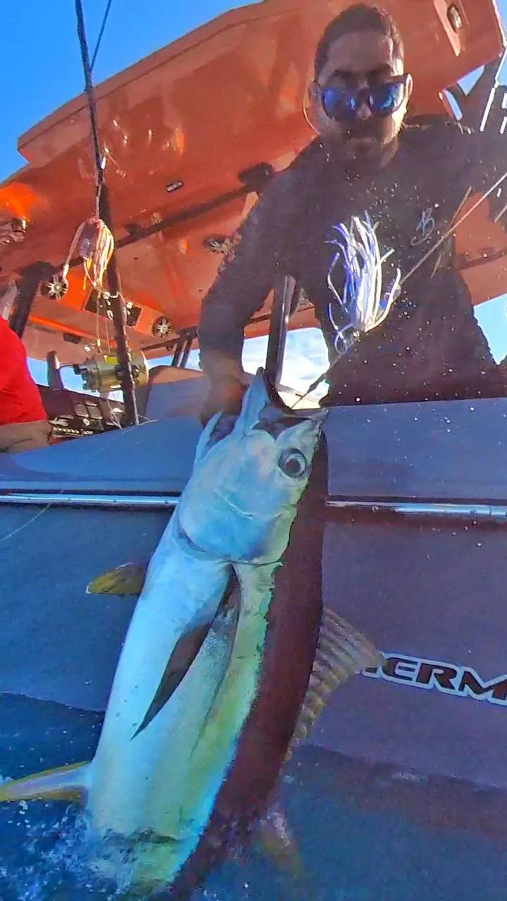 BoomBastic Chapters Seychelles - A Great Day: Boombastic Fishing Season in Seychelles is Open!
