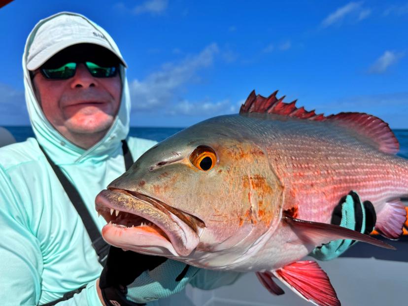 BoomBastic Chapters Seychelles - Aventures de Pêche au-Delà de l'Horizon