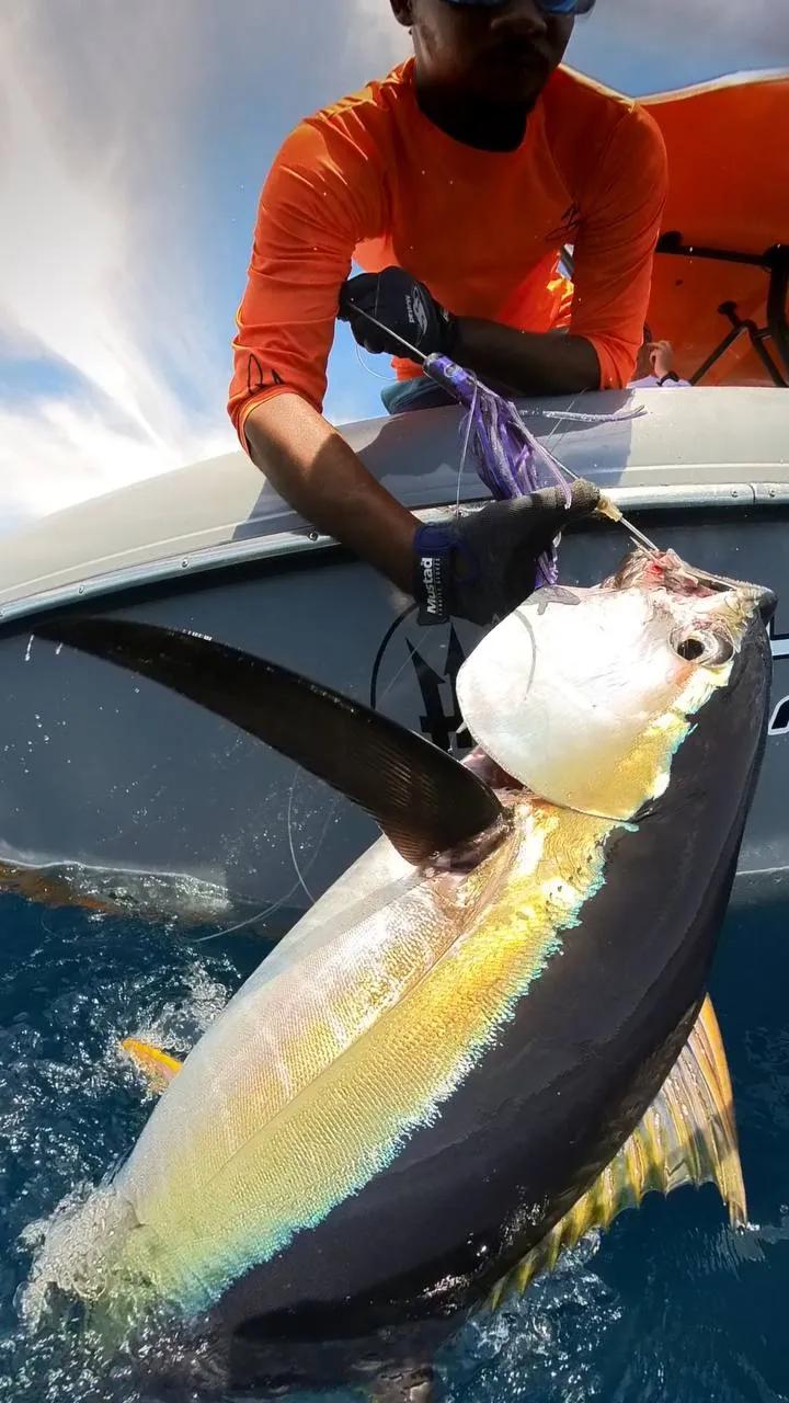 BoomBastic Chapters Seychelles - Une prise incroyable : nous avons attrapé une pieuvre 