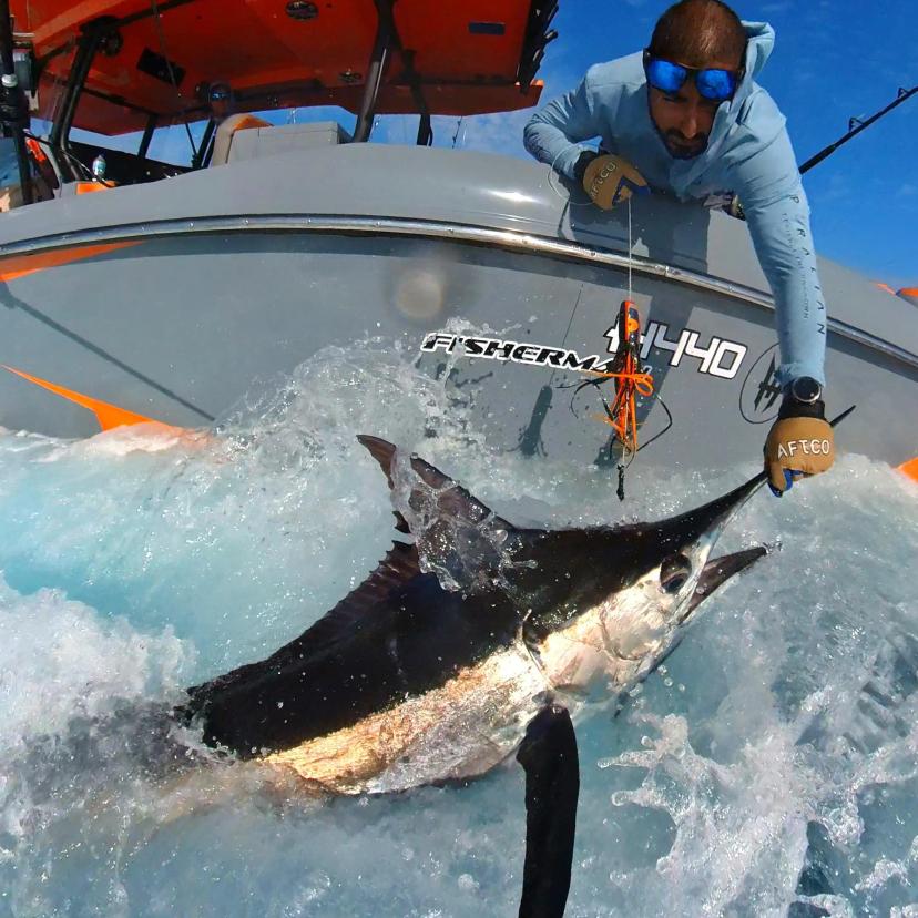 BoomBastic Chapters Seychelles - FISHING