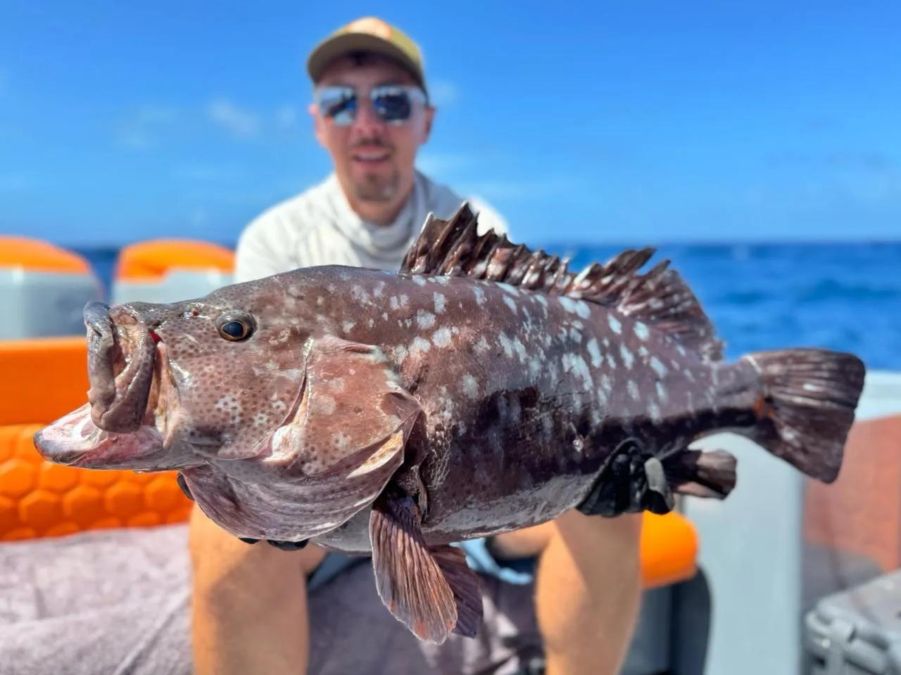 BoomBastic Chapters Seychelles - Pêche