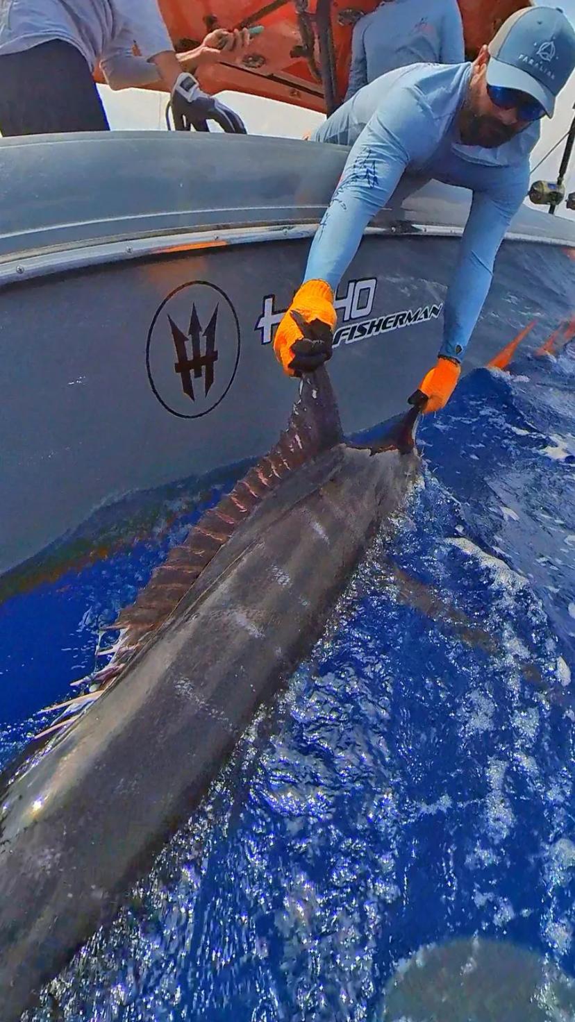 BoomBastic Chapters Seychelles - FISHING