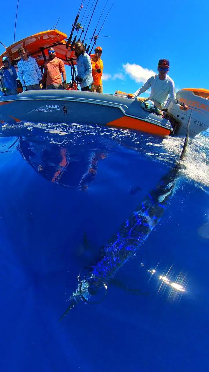 BoomBastic Chapters Seychelles - Marlin Special: Marlin Fishing Season