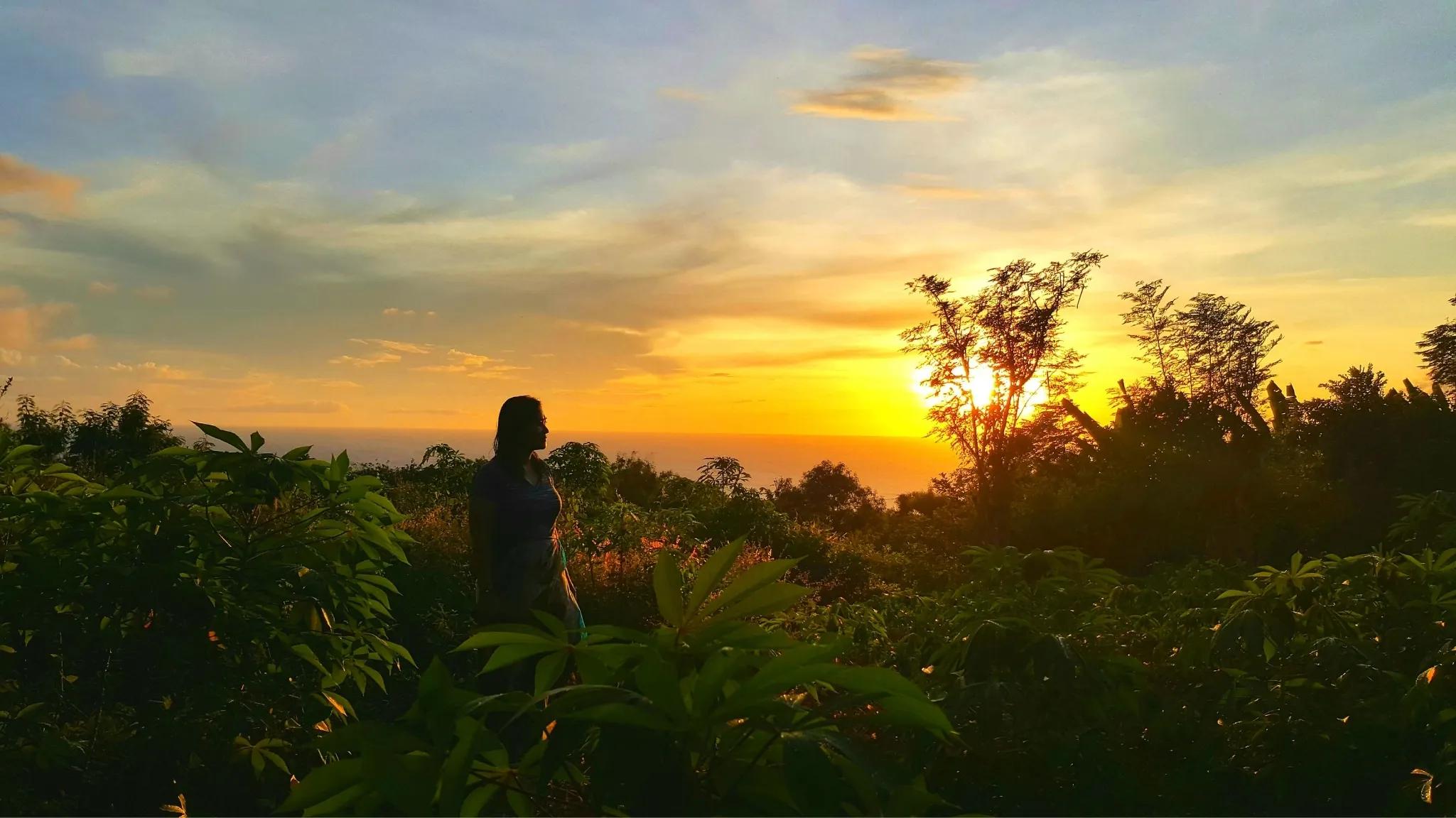 BoomBastic Chapters Seychelles - VIP and group tours