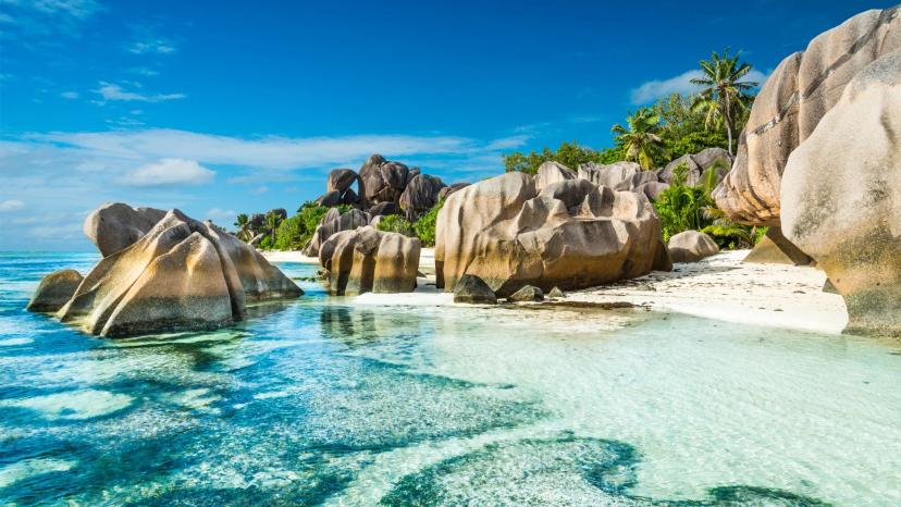 BoomBastic Chapters Seychelles - دليل