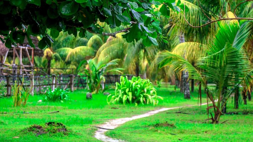 BoomBastic Chapters Seychelles - دليل