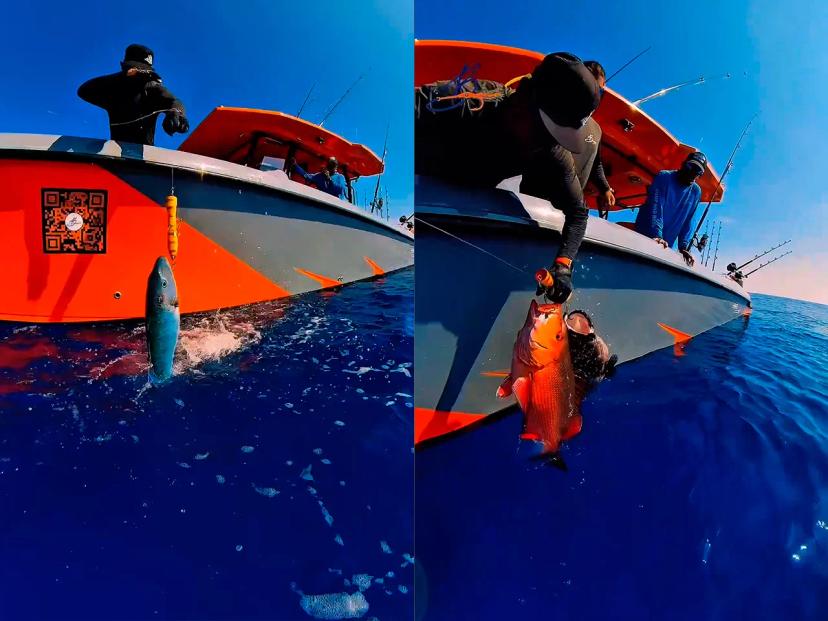BoomBastic Chapters Seychelles - Fishing charter in Seychelles: shark, sailfish and an active bite