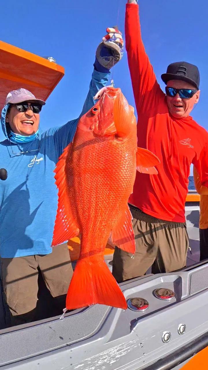 BoomBastic Chapters Seychelles - Outer Islands Run: 3-Hour Dash and an Epic Snapper Bite in Seychelles