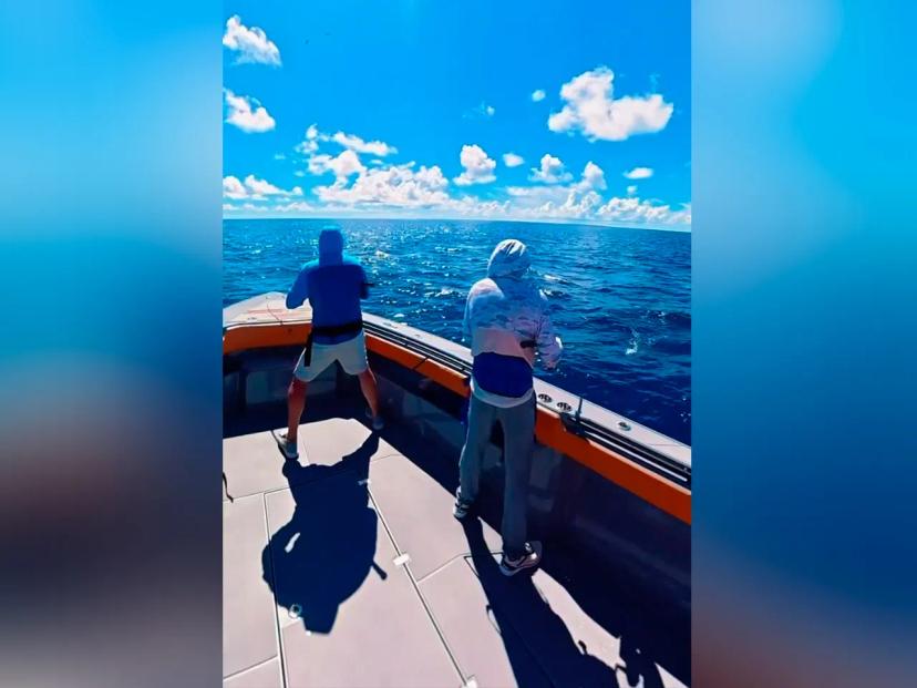 BoomBastic Chapters Seychelles - Catching the milk fish, sharks, and tournament continues on board Boombastic