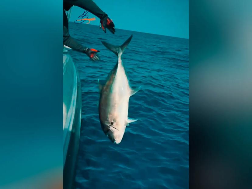 BoomBastic Chapters Seychelles - Trophy fishing in Seychelles: real stories and the best catches with Boombastic