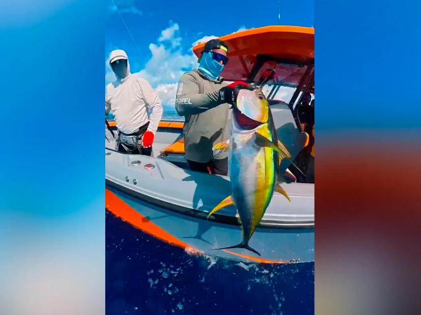 BoomBastic Chapters Seychelles - An absolutely unreal record by our guests and Boombastic Tours