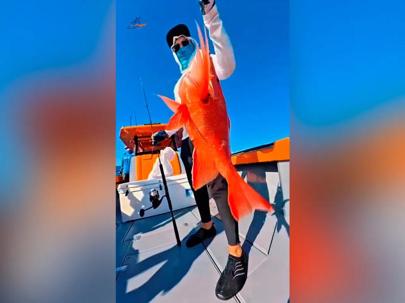 BoomBastic Chapters Seychelles - Exclusive fishing tour with Boombastic: fishing, chef service, and a private beachfront villa