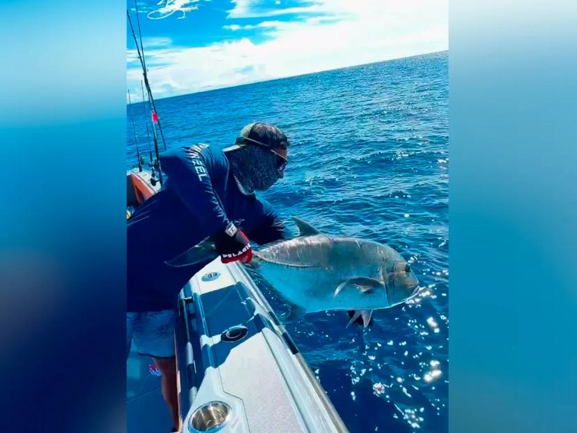 BoomBastic Chapters Seychelles - Catching the milk fish, sharks, and tournament continues on board Boombastic