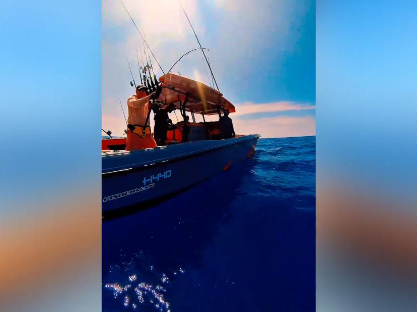 BoomBastic Chapters Seychelles - Fishing charter in Seychelles: shark, sailfish and an active bite
