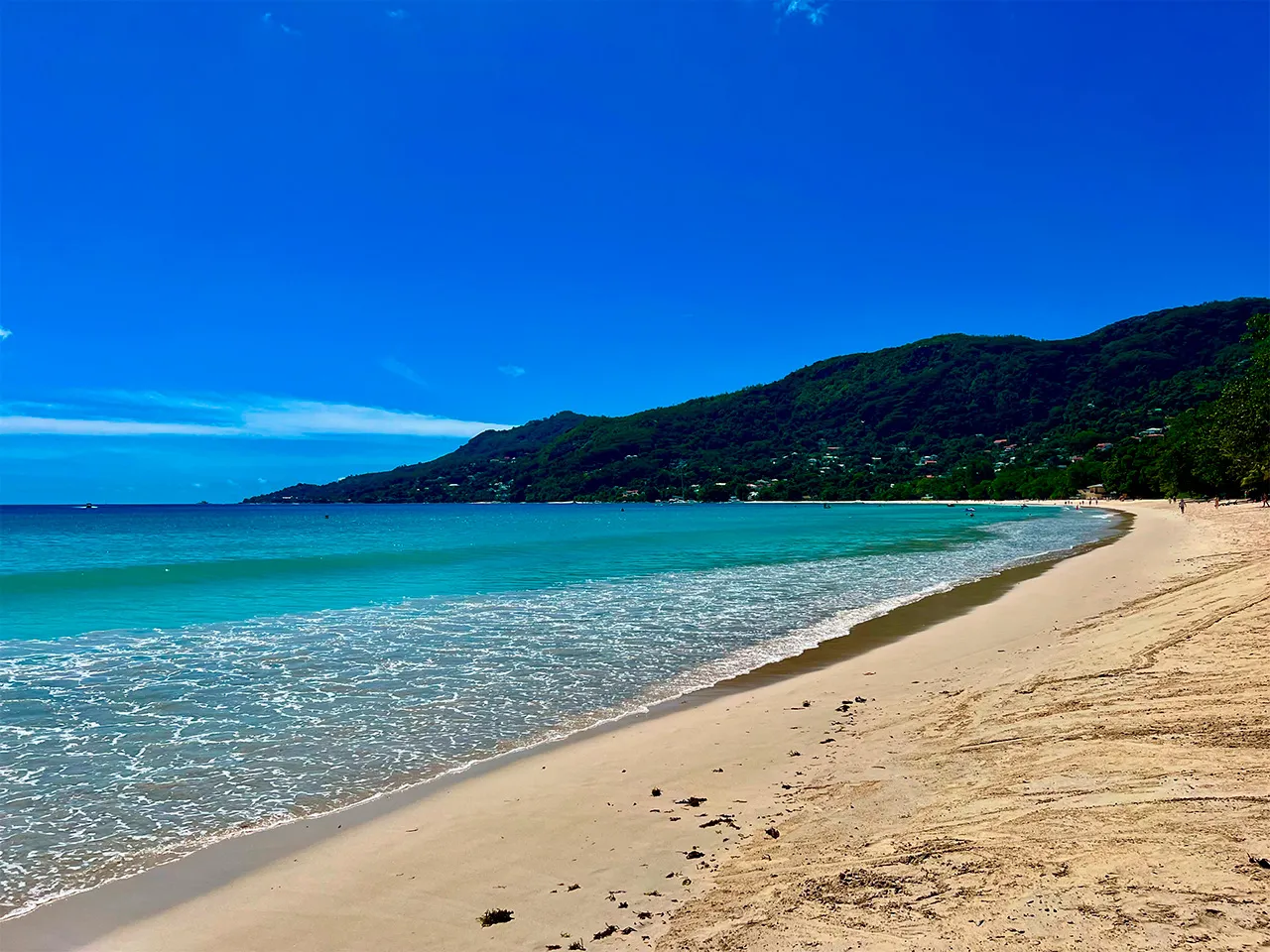 Beau Vallon Beach.jfif.jpg